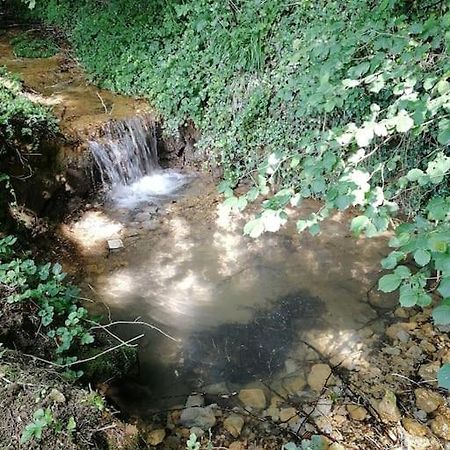 Domaine Moulin De Quincenat Apartment Champagnat  Bagian luar foto