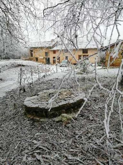 Domaine Moulin De Quincenat Apartment Champagnat  Bagian luar foto