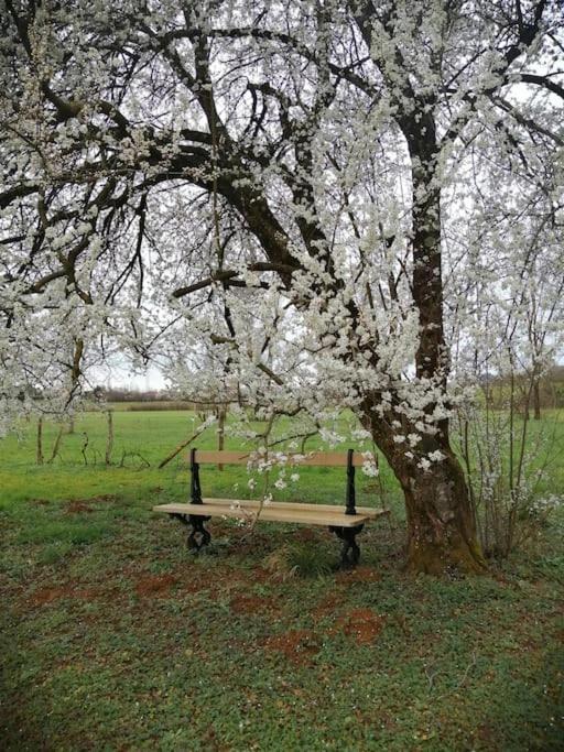 Domaine Moulin De Quincenat Apartment Champagnat  Bagian luar foto