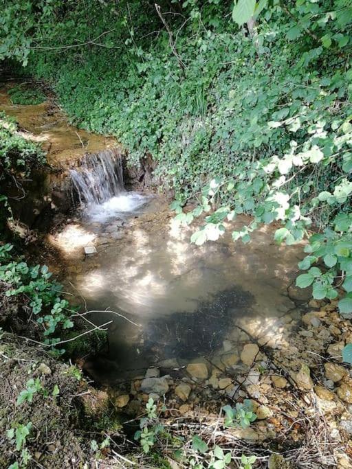 Domaine Moulin De Quincenat Apartment Champagnat  Bagian luar foto