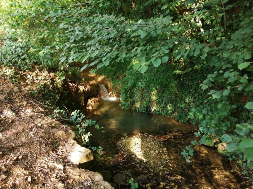 Domaine Moulin De Quincenat Apartment Champagnat  Bagian luar foto